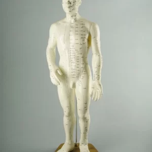 Modelo Masculino 50 Cm