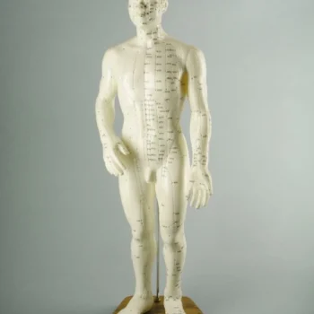 Modelo Masculino 50 Cm