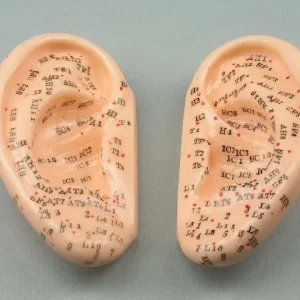 Modelo Oreja 7,5 Cm - Par