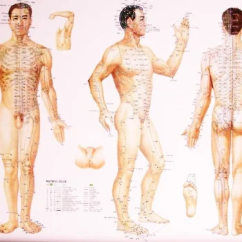 LAMINA DE CUERPO